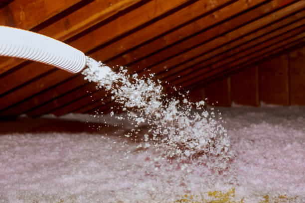 Best Residential Insulation in Stuart, IA