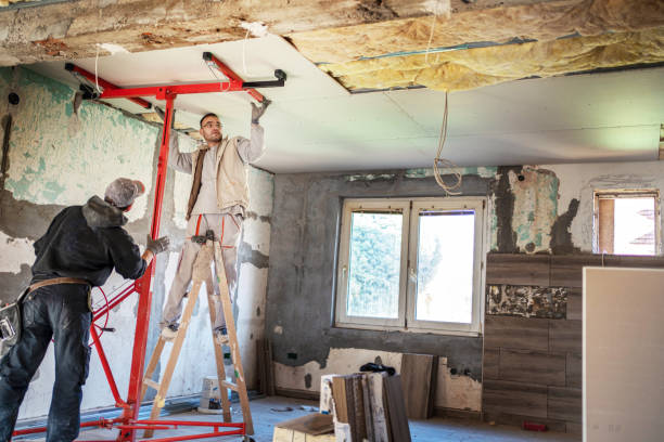 Best Insulation Maintenance and Repair in Stuart, IA